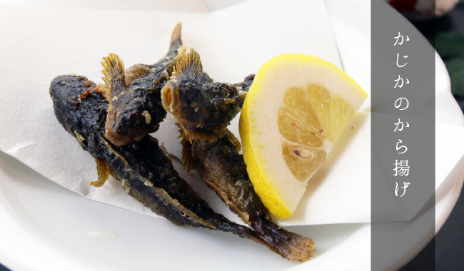 かじか料理
